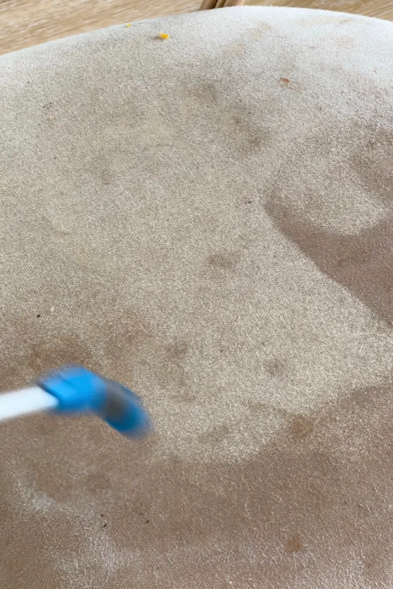 Professionele Dieptereiniging van Stoelen